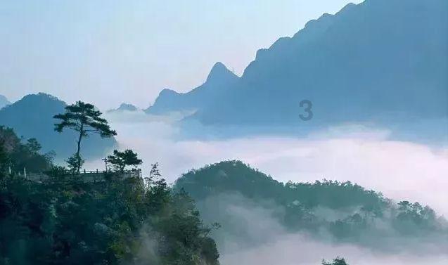 探索蜗牛世界,尽在鼠标用着用着会停顿一下问答平台